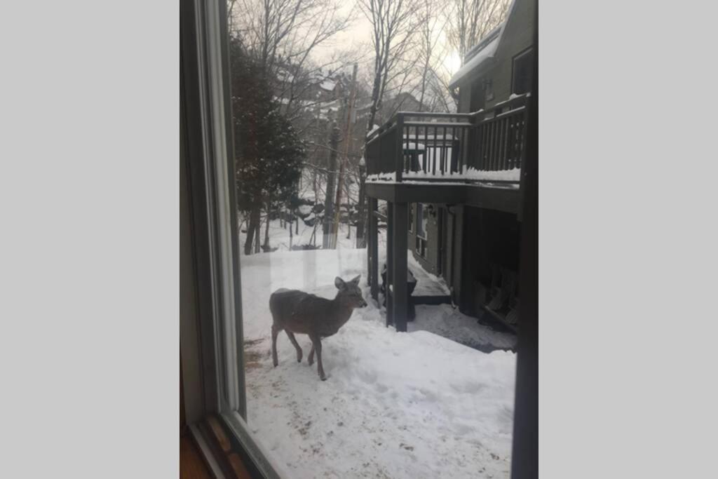The Mountainside By Escapades Tremblant Apartment Mont-Tremblant Bagian luar foto